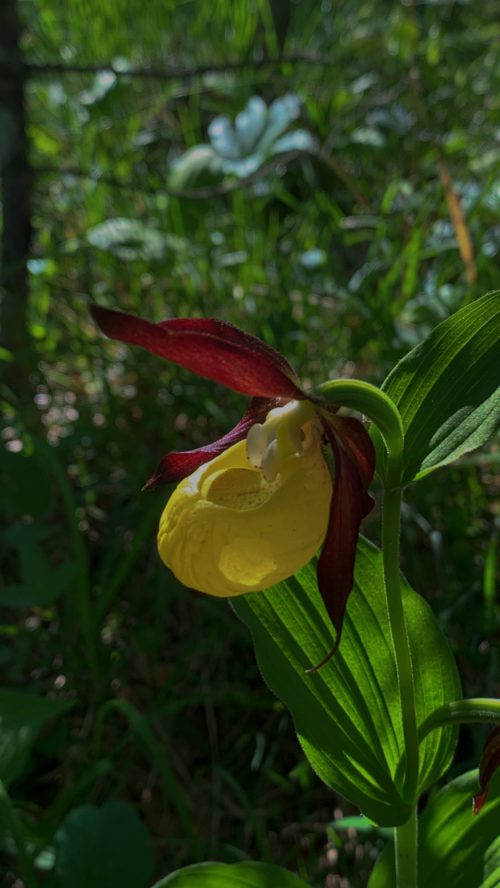 {"eId":"1065572780585895","CameraPosition":1}